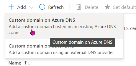 Custom Domain DNS