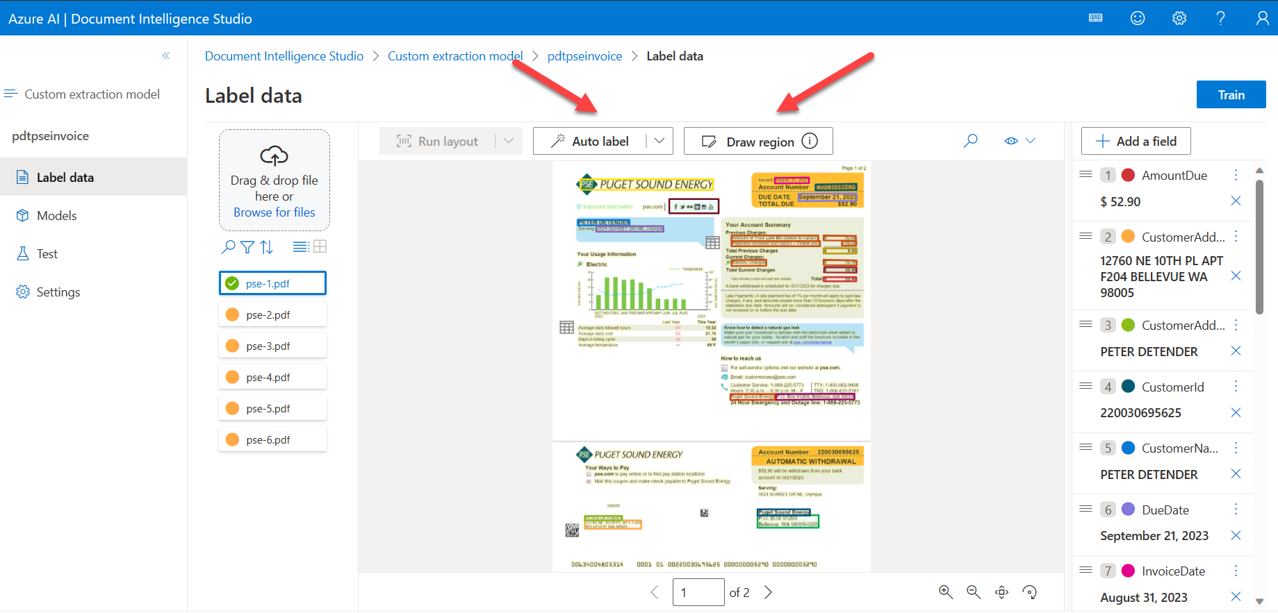 Azure AI Document Custom Label Data