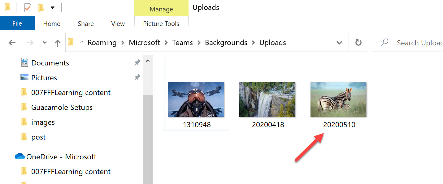 Bing Wallpaper image copied