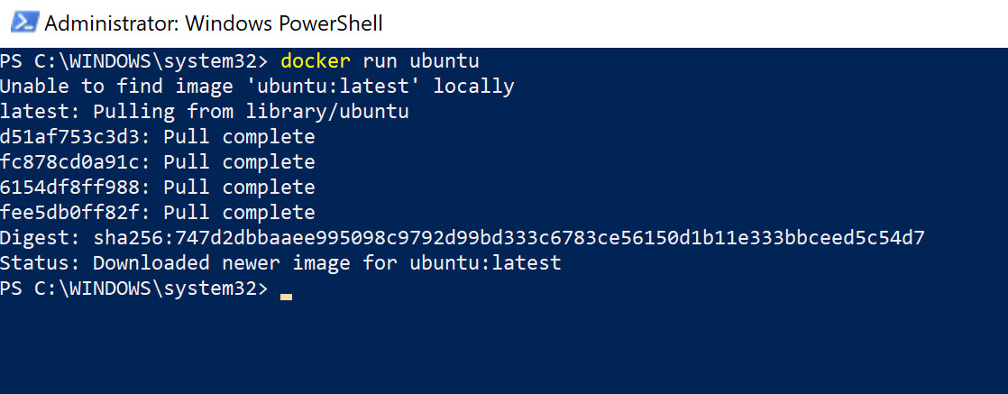 Docker run container