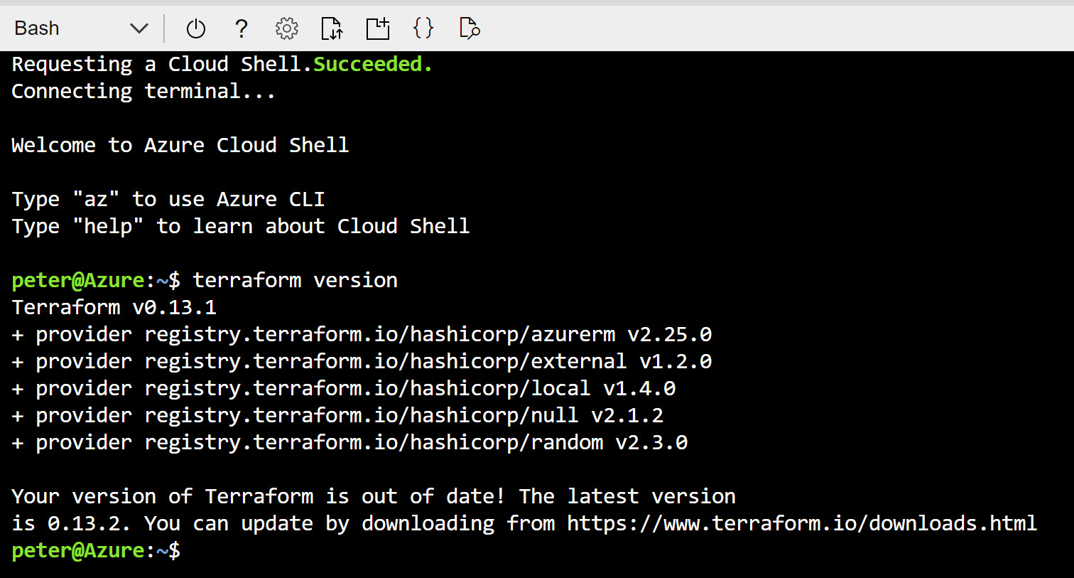 Terraform version